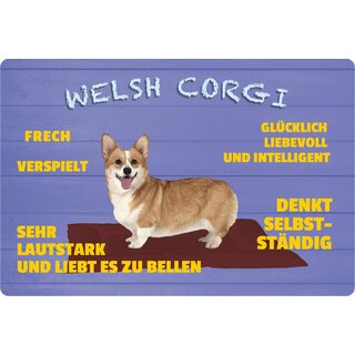 Schild Spruch "Hund Welsh Corgi Frech Verspielt" 30 x 20 cm Blechschild