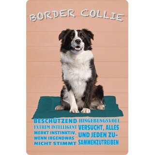 Schild Spruch "Hund Border Collie Beschützend Hingebungsvoll" 20 x 30 cm Blechschild