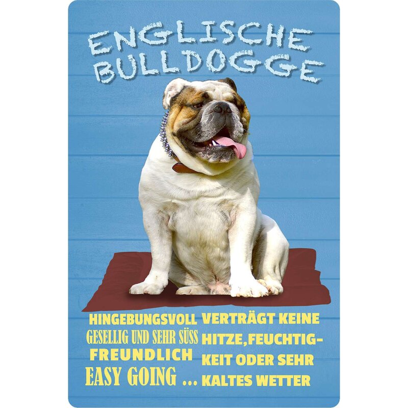 Schild Spruch "Hund Englische Bulldogge Hingebunsvoll Freundlich" 20