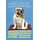 Schild Spruch "Hund Englische Bulldogge Hingebunsvoll Freundlich" 20 x 30 cm Blechschild