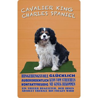 Schild Spruch "Hund Cavalier King Charles Spaniel Hingebungsvoll Glücklich" 20 x 30 cm Blechschild
