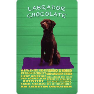 Schild Spruch "Hund Labrador Chocolate Freundlich Intelligent" 20 x 30 cm Blechschild