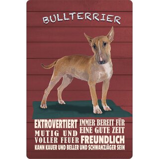Schild Spruch "Hund Bullterrier Extrovertiert Mutig Freundlich" 20 x 30 cm Blechschild