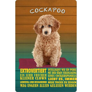 Schild Spruch "Hund Cockapoo Extrovertiert Kleiner Clown" 20 x 30 cm Blechschild