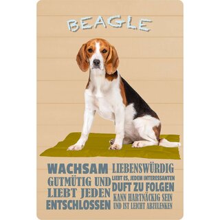 Schild Spruch "Hund Beagle Wachsam Liebenswürdig" 20 x 30 cm Blechschild