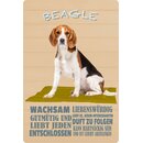 Schild Spruch "Hund Beagle Wachsam...