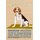 Schild Spruch "Hund Beagle Wachsam Liebenswürdig" 20 x 30 cm Blechschild
