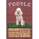Schild Spruch "Hund Poodle Intelligent Loving"...