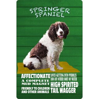 Schild Spruch "Hund Springer Spaniel Affectionate High Spirited" 20 x 30 cm Blechschild