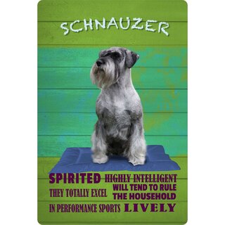 Schild Spruch "Hund Schnauzer Spirited Lively" 20 x 30 cm Blechschild