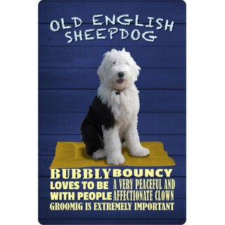 Schild Spruch "Hund Old English Sheepdog Bubbly Bouncy" 20 x 30 cm Blechschild