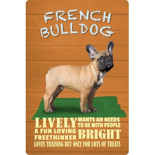 Schild Spruch "Hund French Bulldog Lively Bright" 20 x 30 cm Blechschild