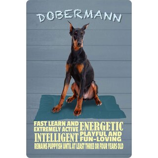 Schild Spruch "Hund Dobermann Energic Intelligent" 20 x 30 cm Blechschild