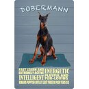 Schild Spruch "Hund Dobermann Energic...