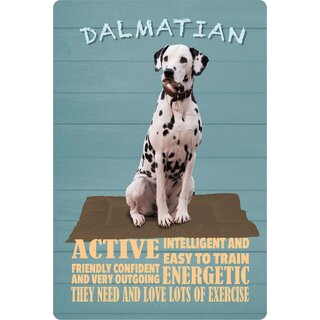 Schild Spruch "Hund Dalmatian Active Energetic" 20 x 30 cm Blechschild