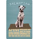 Schild Spruch "Hund Dalmatian Active Energetic"...
