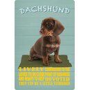 Schild Spruch "Hund Dachshund Lively Devoted"...