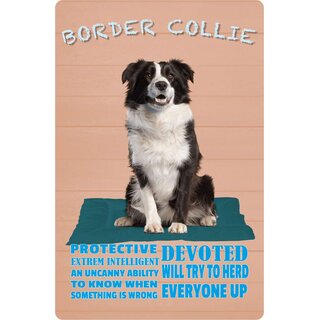 Schild Spruch "Hund Border Collie Protective Intelligent" 20 x 30 cm Blechschild