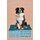 Schild Spruch "Hund Border Collie Protective Intelligent" 20 x 30 cm Blechschild