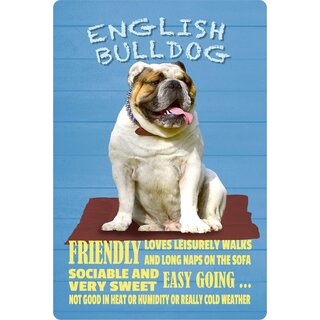 Schild Spruch "Hund English Bulldog Friendly Easy Going" 20 x 30 cm Blechschild