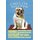 Schild Spruch "Hund English Bulldog Friendly Easy Going" 20 x 30 cm Blechschild