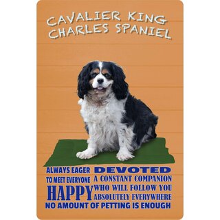 Schild Spruch "Hund Cavalier King Charles Spaniel Happy Devoted" 20 x 30 cm Blechschild