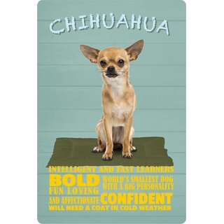 Schild Spruch "Hund Chihuahua Bold Confident" 20 x 30 cm Blechschild