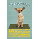 Schild Spruch "Hund Chihuahua Bold Confident"...
