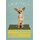 Schild Spruch "Hund Chihuahua Bold Confident" 20 x 30 cm Blechschild