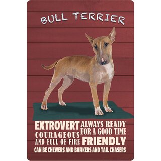 Schild Spruch "Hund Bull Terrier Extrovert Friendly" 20 x 30 cm Blechschild