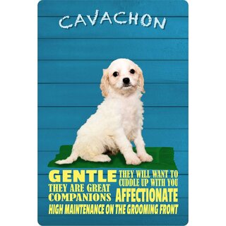 Schild Spruch "Hund Cavachon Gentle Affectionate" 20 x 30 cm Blechschild