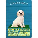 Schild Spruch "Hund Cavachon Gentle...