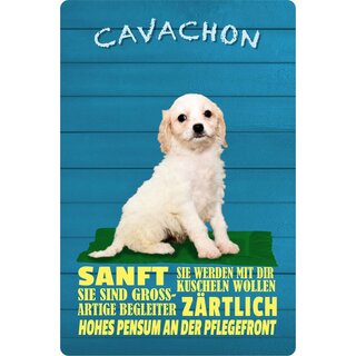 Schild Spruch "Hund Cavachon Sanft Zärtlich" 20 x 30 cm Blechschild