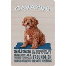 Schild Spruch "Hund Cavapoo Süss...