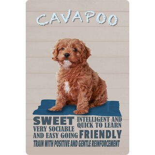Schild Spruch "Hund Cavapoo Sweet Friendly" 20 x 30 cm Blechschild