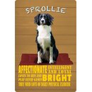 Schild Spruch "Hund Sprollie Affectionate...