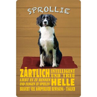 Schild Spruch "Hund Sprollie Zärtlich Intelligent" 20 x 30 cm Blechschild