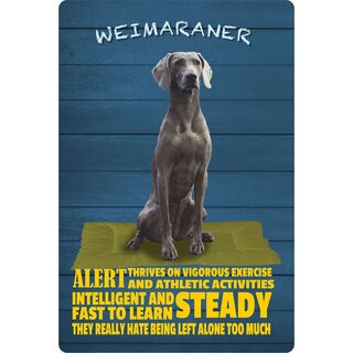 Schild Spruch "Hund Weimaraner Intelligent Steady" 20 x 30 cm Blechschild