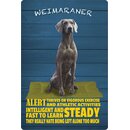 Schild Spruch "Hund Weimaraner Intelligent...