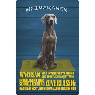 Schild Spruch "Hund Weimaraner Wachsam Zuverlässig" 20 x 30 cm Blechschild