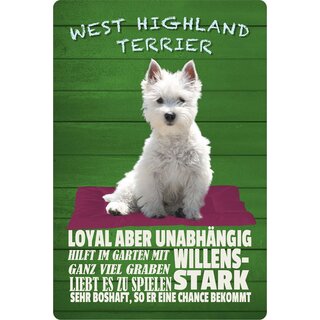 Schild Spruch "Hund West Highland Terrier Willenstark Loyal" 20 x 30 cm Blechschild