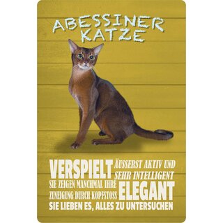 Schild Spruch "Katze Abessiner Katze" 20 x 30 cm Blechschild
