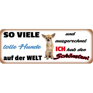 Schild Spruch "So viele tolle Hunde auf der Welt" 27 x 10 cm Blechschild