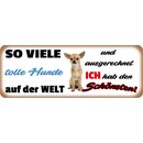 Schild Spruch "So viele tolle Hunde auf der...