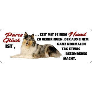 Schild Spruch "Pures Glück ist Zeit mit seinem Hund zu verbringen" 27 x 10 cm Blechschild