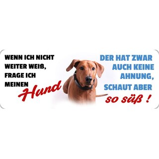 Schild Spruch "Wenn ich nicht weiter weiß, frage ich meinen Hund" 27 x 10 cm Blechschild