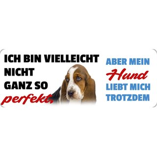 Schild Spruch "Bin nicht perfekt, aber mein Hund liebt mich" 27 x 10 cm Blechschild