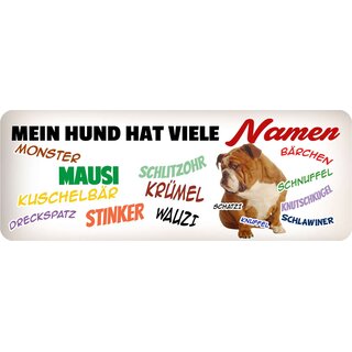 Schild Spruch "Mein Hund hat viele Namen" 27 x 10 cm Blechschild