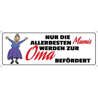 Schild Spruch "Nur die allerbesten Mamis werden befördert" 27 x 10 cm Blechschild