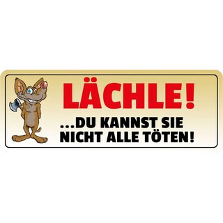 Schild Spruch "Lächle du kannst nich alle töten" 27 x 10 cm Blechschild